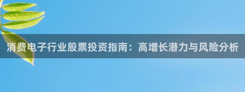 凯发k8登录首页|消费电子行业股票投资指南：高增长潜力与风险分析